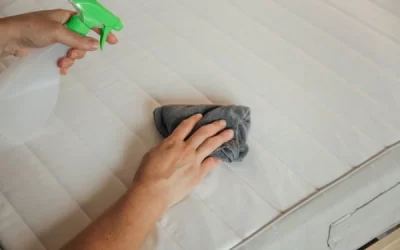 Cómo eliminar olor a humedad y manchas de los tejidos de tu casa